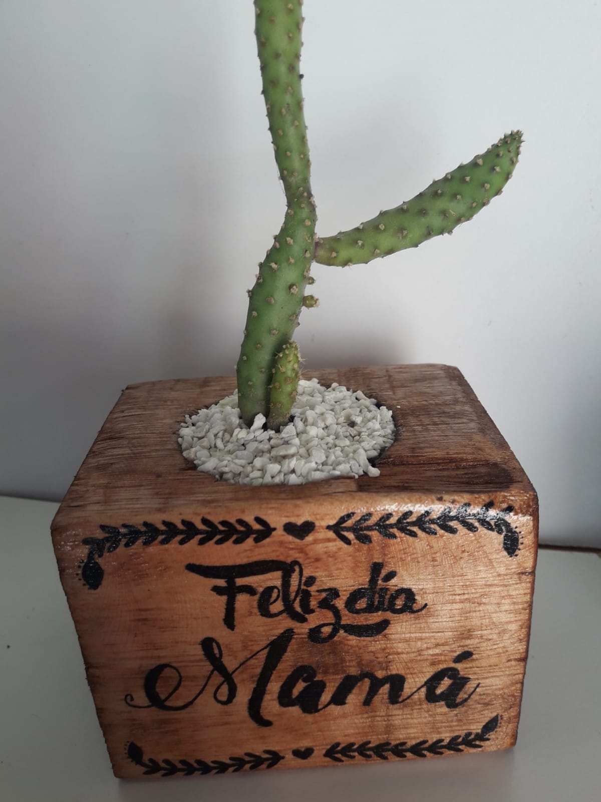 Maseta frase feliz dia mama