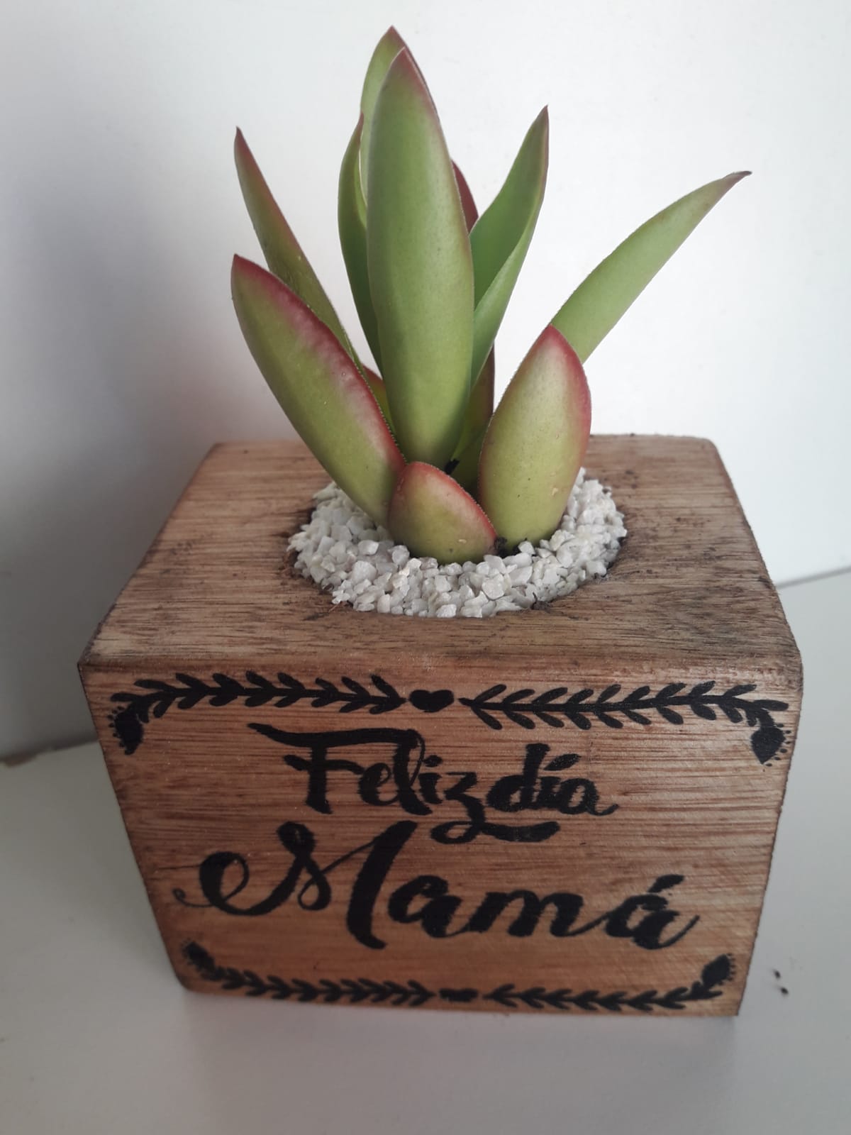 Maseta frase feliz dia mama